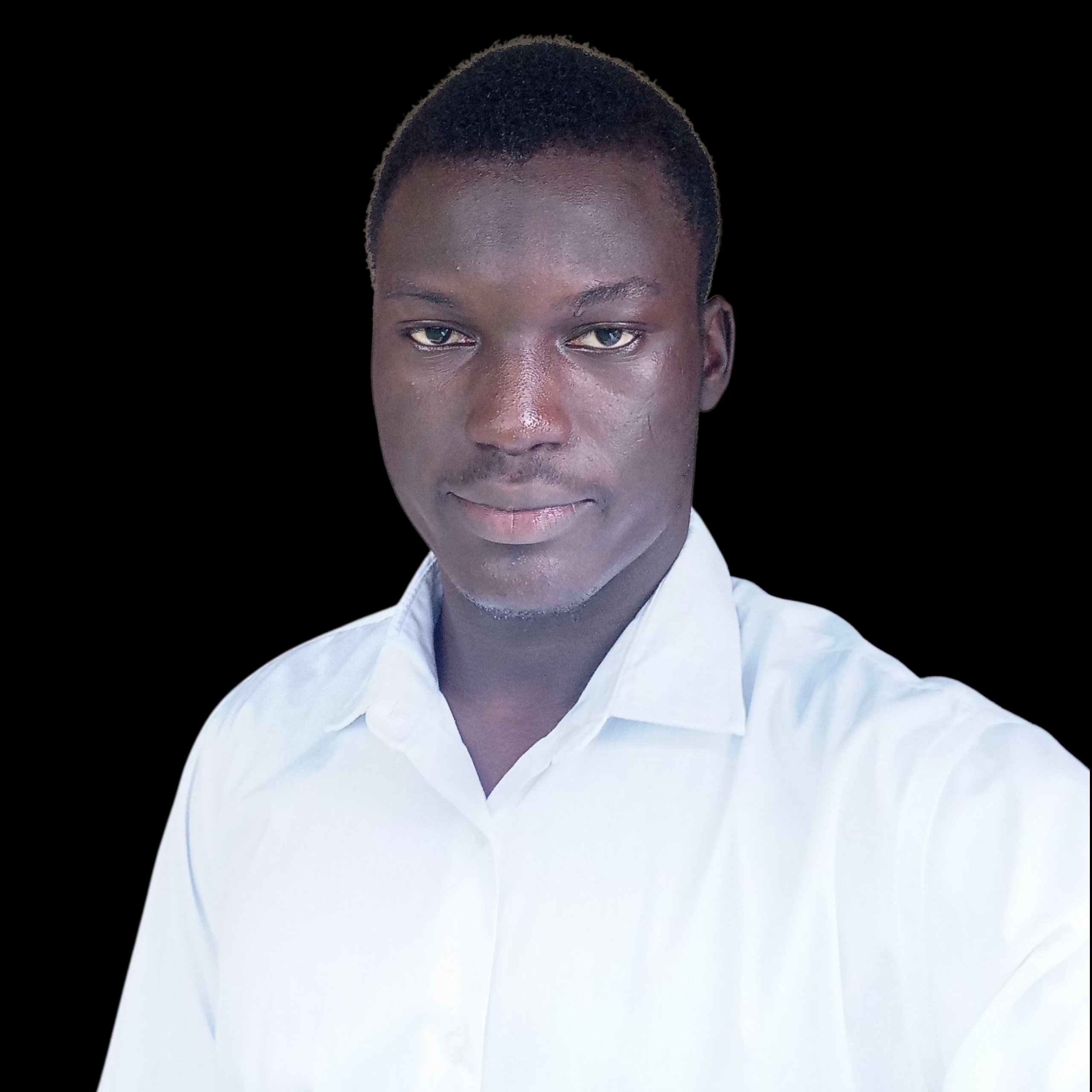 Lumina working on a laptop